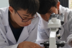 Microscopio-2