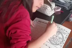 WhatsApp-Image-2024-11-12-at-5.09.37-PM