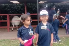 WhatsApp-Image-2024-08-25-at-2.40.34-PM